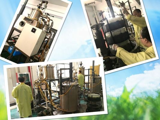Termometro orale in vetro medico FN-W senza liquido di mercurio
